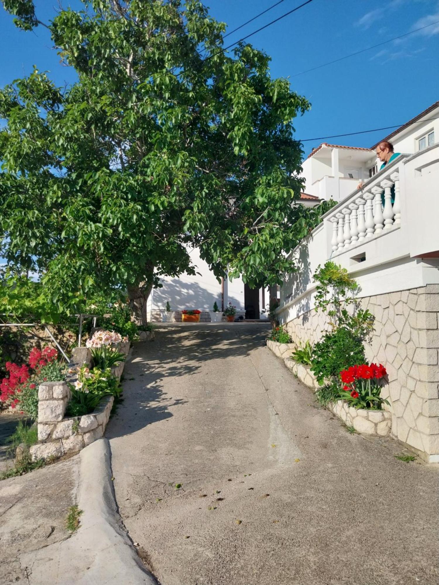 Ljubica Apartments And Rooms スペタルスカ・ドラガ エクステリア 写真